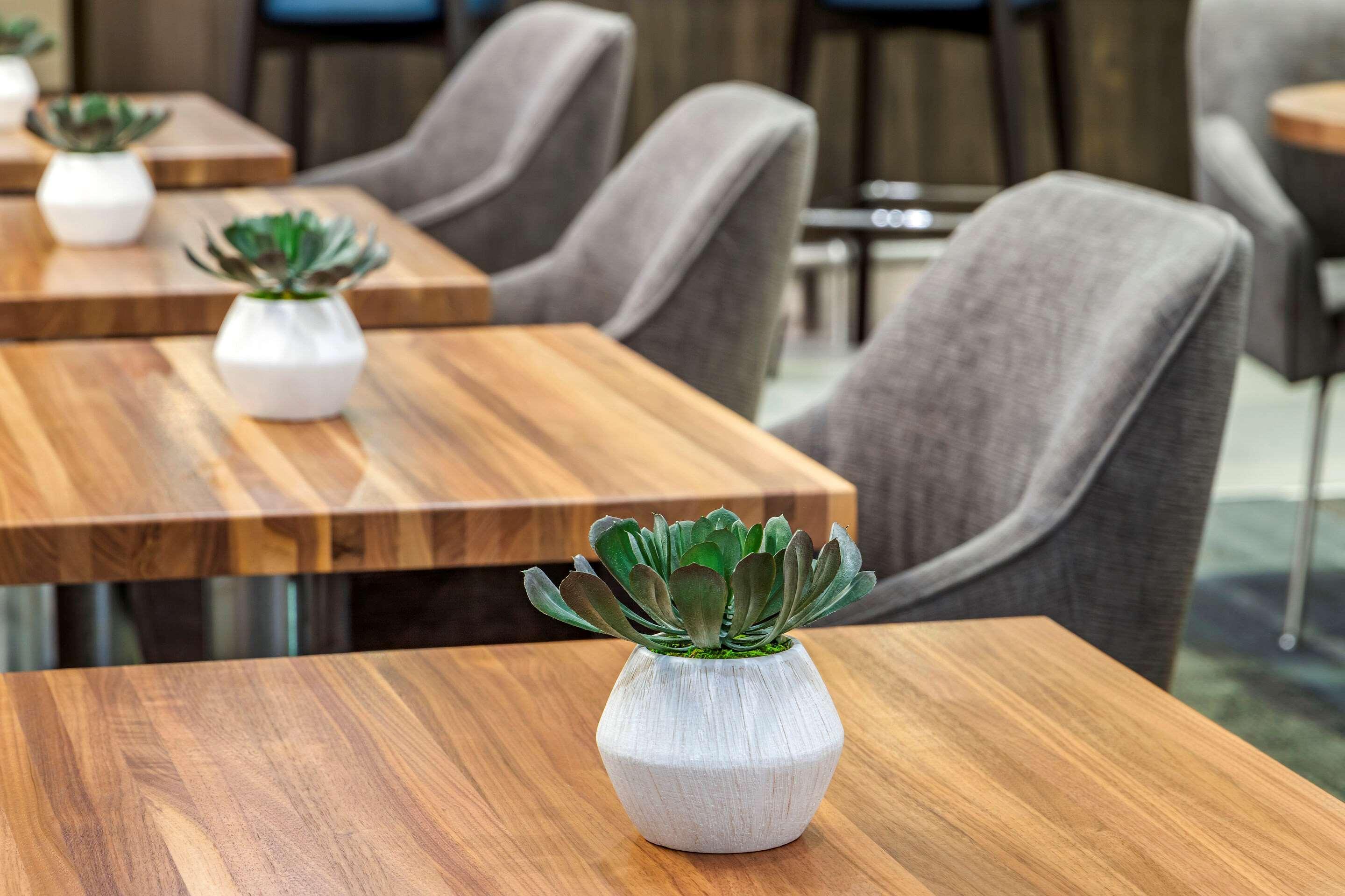 Cambria Hotel Γκρίνβιλ Εξωτερικό φωτογραφία